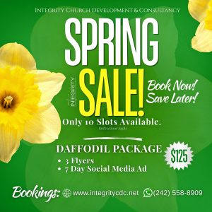 Daffodil PAckage *Spring Sale