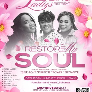 The Midwife Experience 2026